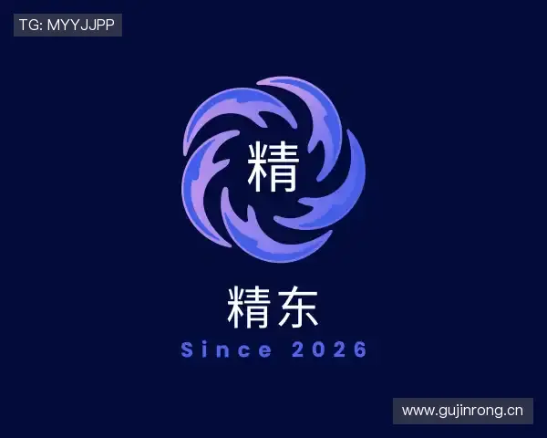 了解精东传媒